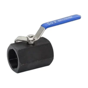 1 Piece Hexagon SS Ball Valve 2000PSI