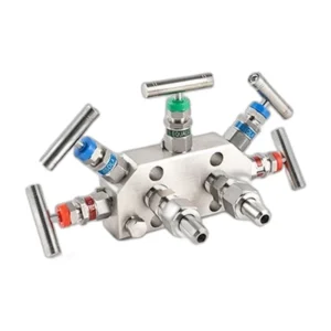 5 Valve Manifold