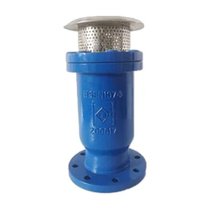 Air Valve 02 Combination Kinetic Air Release Valve Thread End