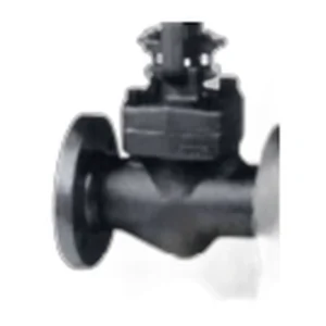 American Standard Compact Steel Globe Valve