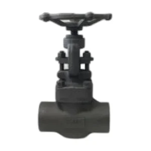 API 602 Socket Weld FNPT Globe Valve