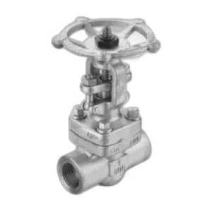 API 602 Steel Socket Weld Globe Valve