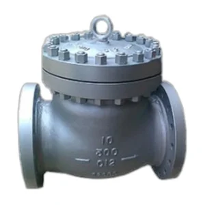 API Check Valve 300LB