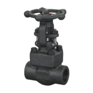 API602 Carbon Steel SW Gate Valve