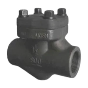 Bolted Bonnet Threaded BSPT Check Valve