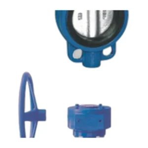 Butt-Clamped Soft-Seal Butterfly Valve