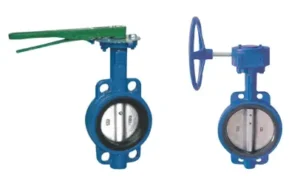Butt-Clamped Soft-Seal Butterfly Valve