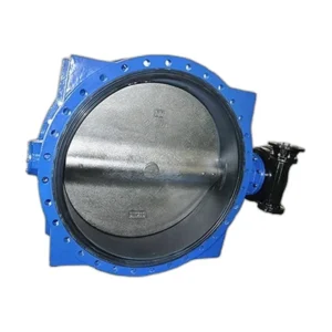 Butterfly Type Check Valve