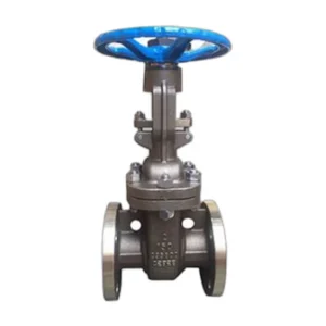 C95800 Aluminium Bronze Gate Valve