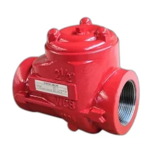 Carbon Steel Threaded Check Valve 3000 PSI