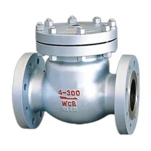 Cast Bronze Check Valve