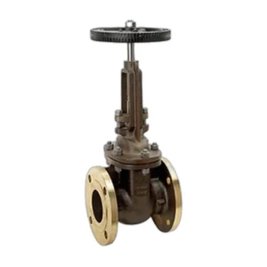 Cast Bronze Gate Valve