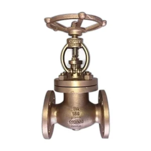 Cast Bronze Globe Valve