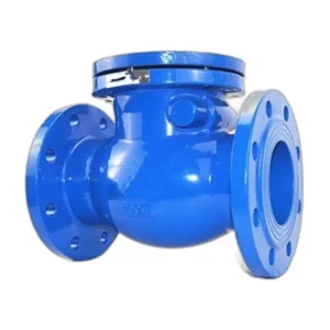 Cast Iron Check Valve