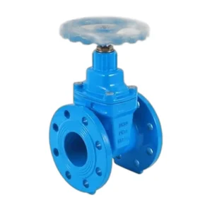 Cast Iron Gate Valve