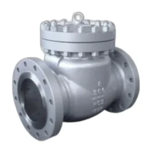Cast Steel Flanged Swing Check Valves Class
