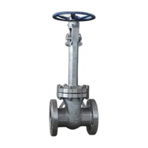 Cryogenic Gate Valve