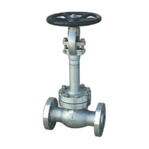 Cryogenic Globe Valve