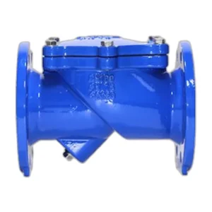 CV02-45 Flap Check Valve