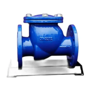CV03 Swing Check Valve DIN3202 F6 PN10/PN16