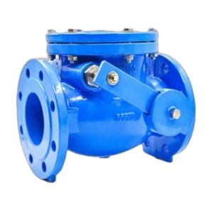 CV04 BS5153 Swing Check Valve with Counterweight