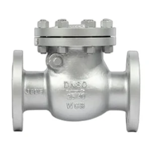 DIN Flanged Cast Steel Swing Check Valve