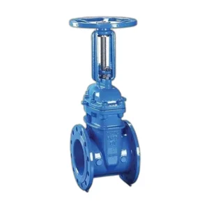 DIN F4 Rising Stem Gate Valve