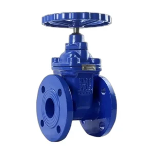 DIN F5 Rising Stem Gate Valve