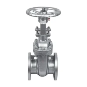 DIN Gate Valve PN100
