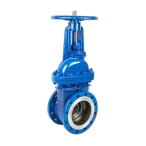DIN Gate Valve PN16