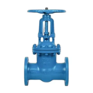 DIN Gate Valve PN40