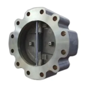 Double Disc Wafer Lug Body Check Valve