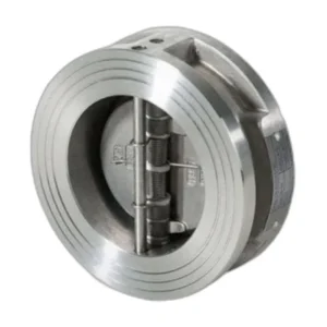 Dual Disc Wafer Flanged Swing Check Valve