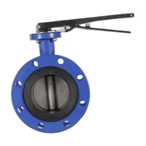 Flanged Concentric Butterfly Valve
