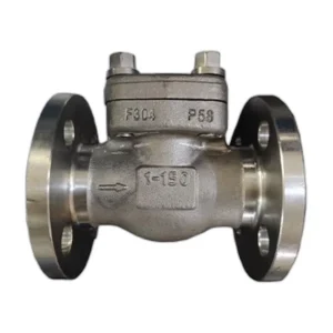 Flanged End Check Valve