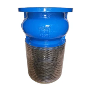 Foot Valve 01 DN50-DN300