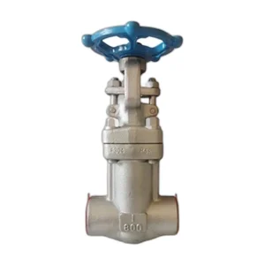 Forged Bellow Sealed Globe Valve
