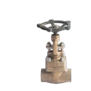 Forged Bronze Check Valve