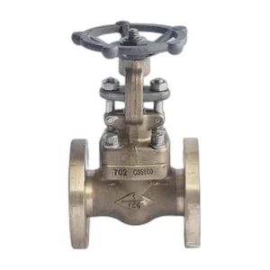 Forged Bronze Gate Valve