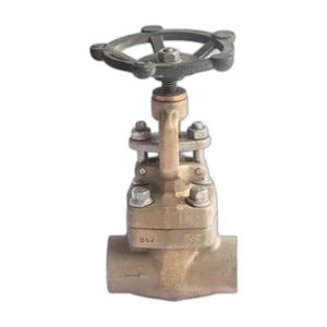 Forged Bronze Globe Valve