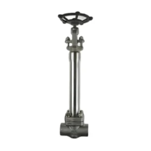 Forged Cryogenic Gate Valve