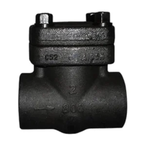 Forged Piston Check Valve