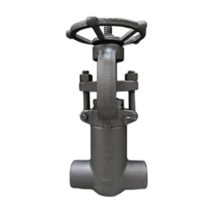 Forged Pressure Seal Gate Valve