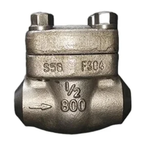 Forged Stainless Steel Check Valve