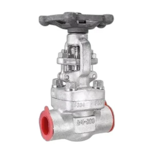 Forged Stainless Steel Gate Valve