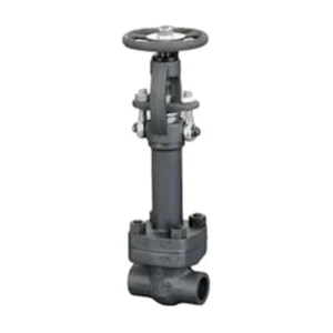 Forged Steel Cryogenic Globe Valve