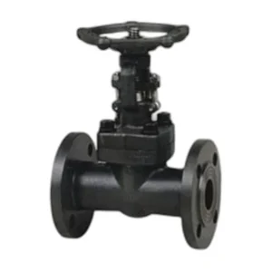 Forged Steel Flanged and BW Gate Valves