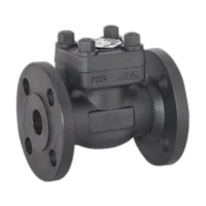 Forged Steel Flanged Swing Check Valves