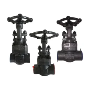 Forged Steel Gate Valve