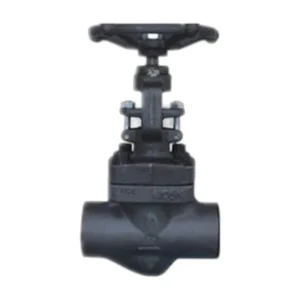 Forged Steel Globe Valve